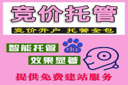 百度竞价代理技巧：经典成功案例解析